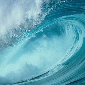 Meet your Posher, Margaret